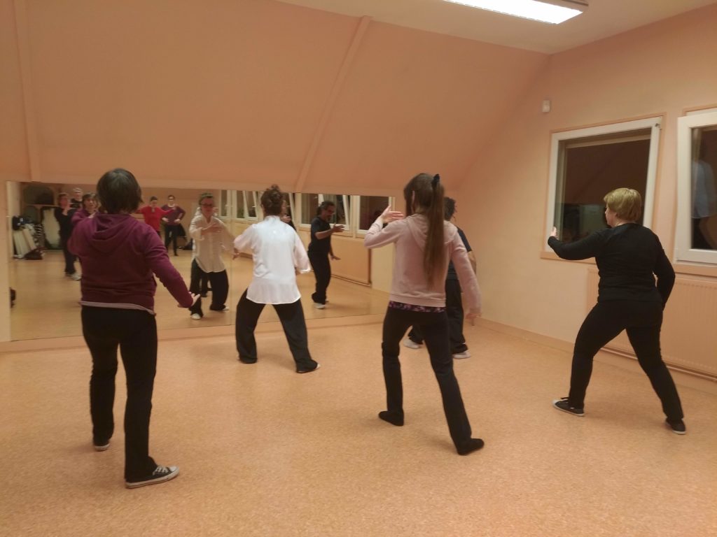 cours de tai ji à orléans